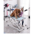 MT  Stainless Steel Electric Veterinary Operation Table  animal lift table for vet clinic